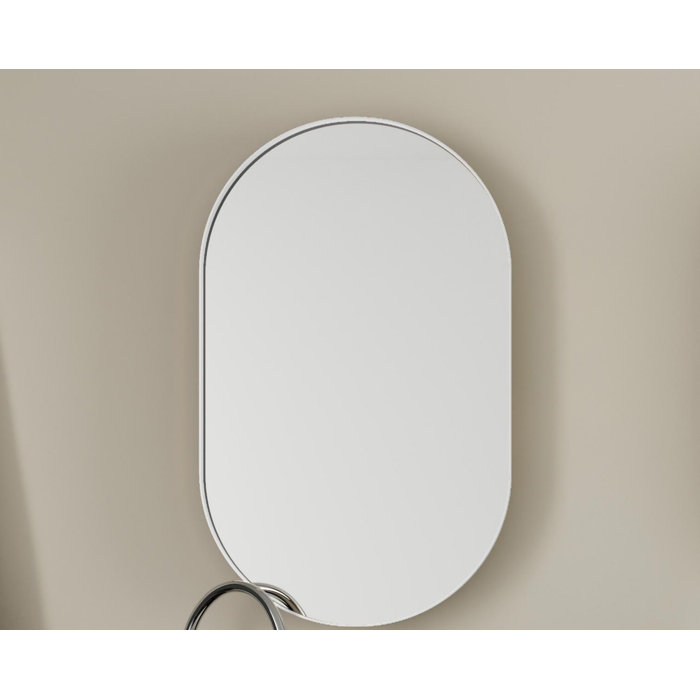 Ebern Designs 20X34 Inch Oval Recessed Medicine Metal Framed